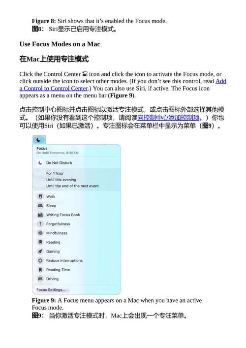 掌控专注模式 格兰·弗莱什曼 （中英对照电子书）