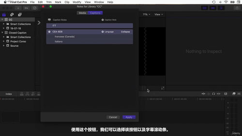 Final Cut Pro从入门到精通：完整视频剪辑实战课程 (英文课程中文字幕)