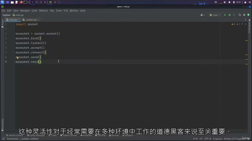 [中字] Python 网络安全实战：从编程基础到渗透测试防