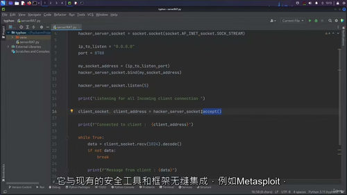 [中字] Python 网络安全实战：从编程基础到渗透测试防