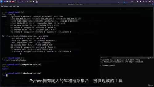 [中字] Python 网络安全实战：从编程基础到渗透测试防