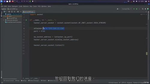 [中字] Python 网络安全实战：从编程基础到渗透测试防
