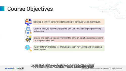 [中字] 人工智能应用：计算机视觉与语音识别（中文字幕英文视