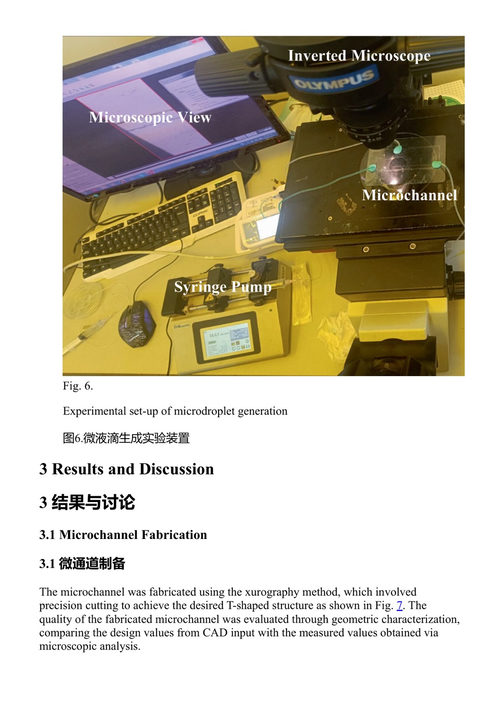 第13届国际热流体进展会议论文集 穆罕默德·法伊扎勒·哈桑 等 (中英对照电子书)