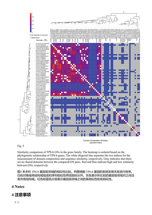 代谢基因簇：方法与方案 汉斯-威廉·尼茨曼、拉梅沙·蒂马帕 (中英对照电子书)