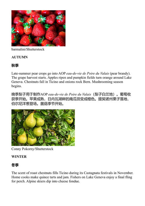 孤独星球瑞士 孤独星球 (中英对照电子书)