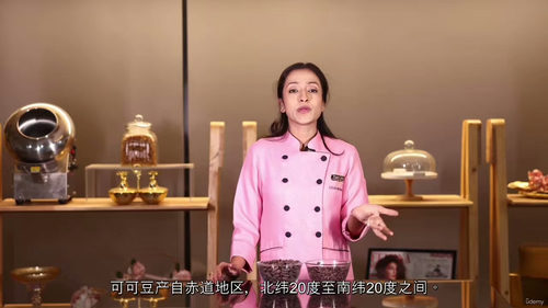 从豆到棒巧克力制作教程