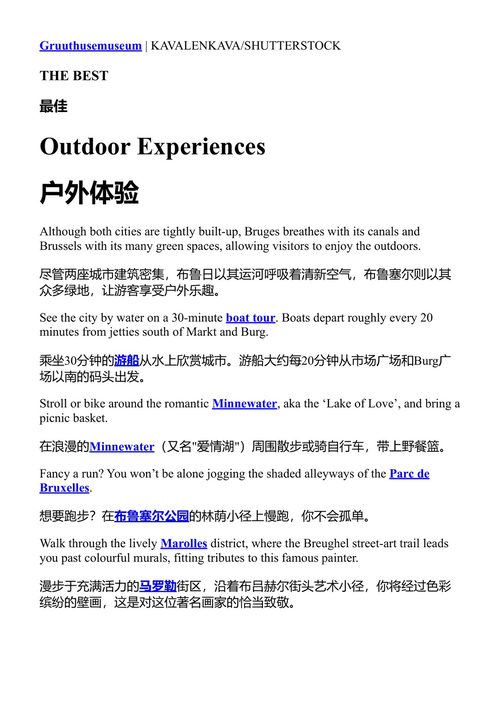 孤独星球布鲁日与布鲁塞尔口袋指南 孤独星球 (中英对照电子书)