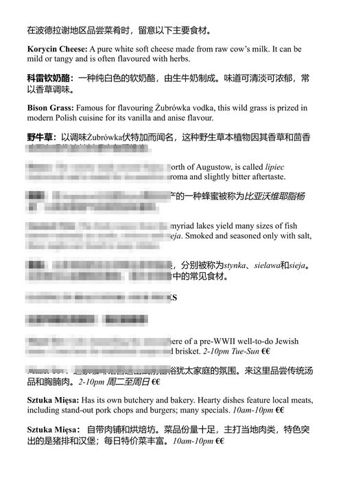 孤独星球波兰 孤独星球 (中英对照电子书)