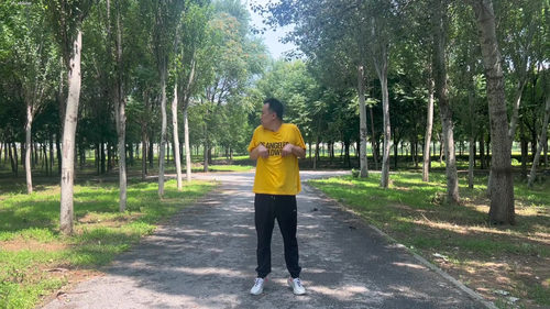 五禽戏：一千六百年传承的传统养生功法 (英文课程中文字幕)
