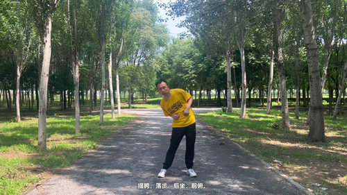 五禽戏：一千六百年传承的传统养生功法 (英文课程中文字幕)