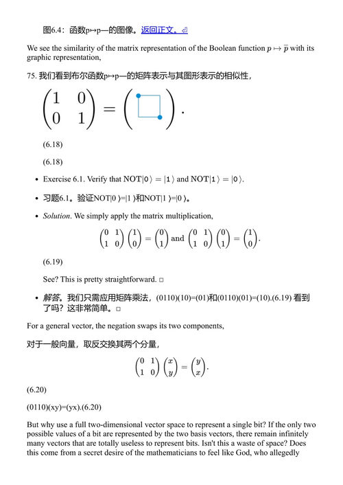 心灵仅仅是计算吗 奥维迪乌·克里斯蒂内尔·斯托伊卡 (中英对照电子书)