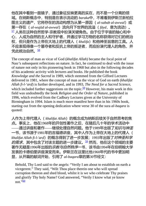 宗教绿色创新：技术、社区与可持续性 阿莱桑德拉·维图洛 亚历山德罗·萨乔罗 （中英对照电子书）