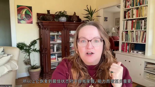 重塑大脑:脑外伤与脑震荡康复指南(中文字幕英文视频教程)
