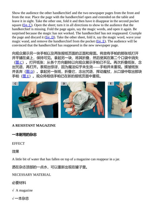 最佳魔法游戏 詹路易吉·斯皮尼 安娜丽莎·斯特拉达 （中英对照电子书）