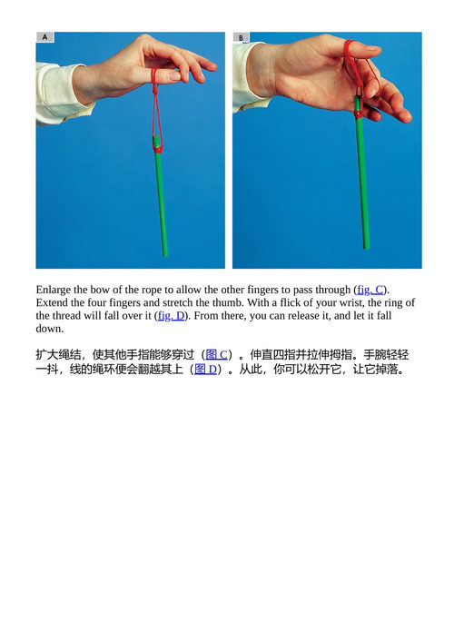 最佳魔法游戏 詹路易吉·斯皮尼 安娜丽莎·斯特拉达 （中英对照电子书）