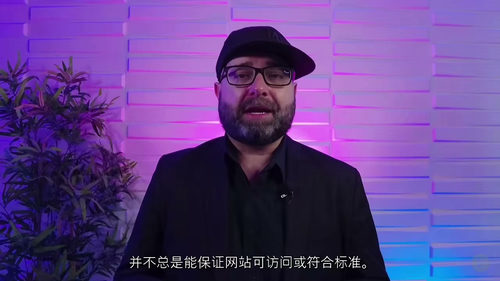 [中字] 无障碍网页设计基础（中文字幕英文视频教程）