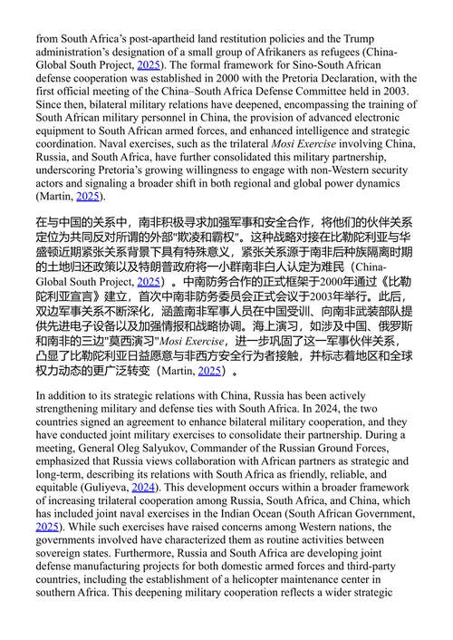 金砖国家与全球权力的转型 弗朗切斯科·佩特罗内 (中英对照电子书)