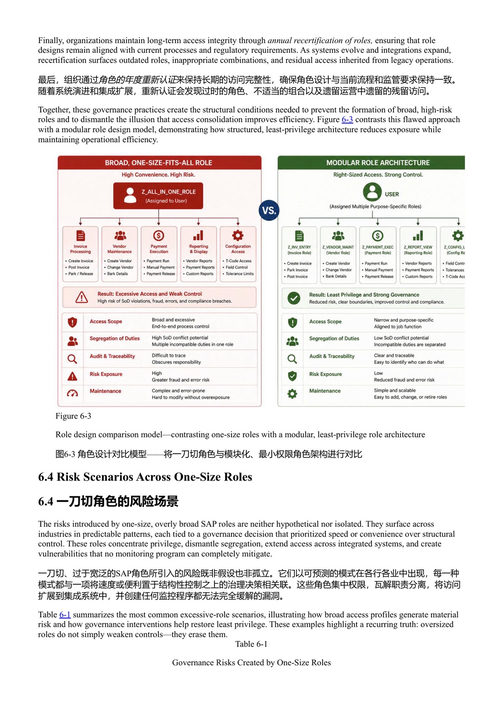 SAP安全管理手册 曼苏尔·西迪基 (中英对照电子书)