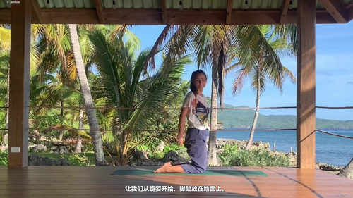 二十八天儿童瑜伽探险课 (英文课程中文字幕)