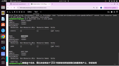 CKAD考试真题精讲课程 (英文课程中文字幕)
