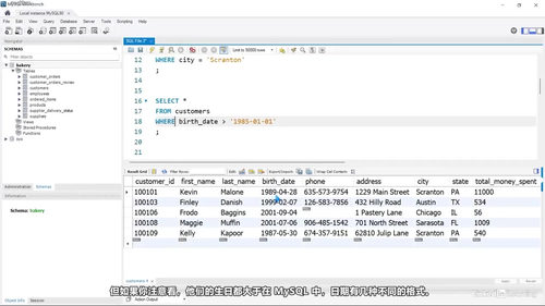 MySQL数据分析实战课 (英文课程中文字幕)