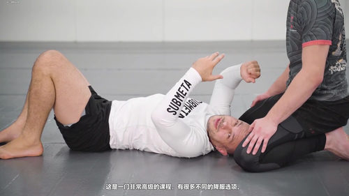 南北压制进阶攻防:逃脱、控制与反击全攻略 (英文课程中文字幕)
