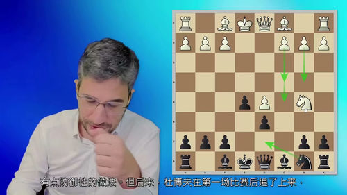 [中字] 国际象棋大师弗雷斯内特的斯维什尼科夫西西里防御教程
