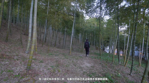 法国文学五大家:从福楼拜到加缪的文学之旅 (英文课程中文字幕)