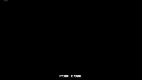 法语语音入门课 (英文课程中文字幕)