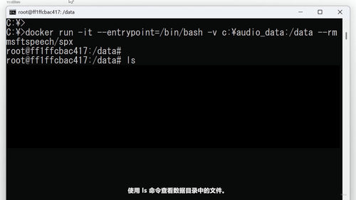 语音服务实战:用Docker容器快速上手语音转文本与文本转语音 (英文课程中文字幕)