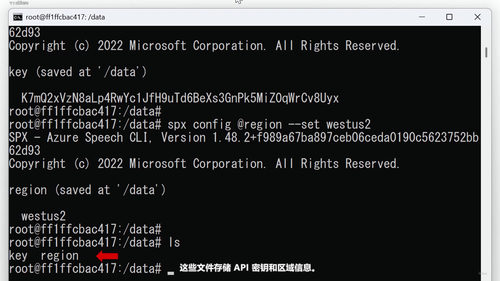 语音服务实战：用Docker容器快速上手语音转文本与文本转语音 (英文课程中文字幕)