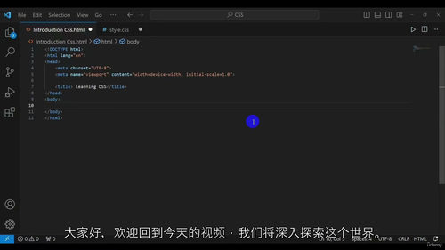 [中字] CSS 从入门到精通：完整实战指南（中文字幕英文视