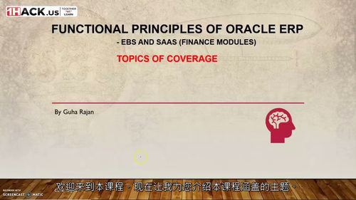 [中字] 甲骨文 ERP 功能原理：EBS 与 SaaS（财