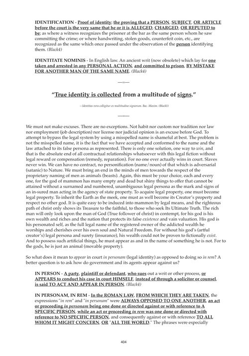 稻草人:你的虚构人格的真相 克林特·理查森 (英文电子书)