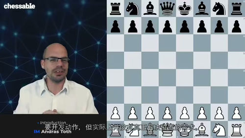 国际象棋布局进阶教程