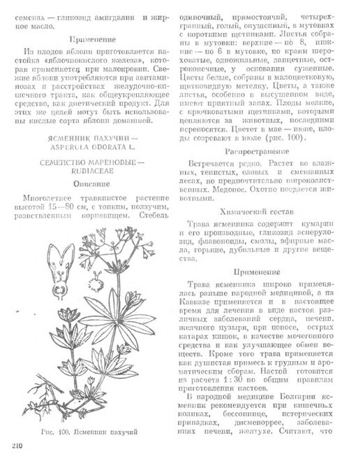 上伏尔加地区药用植物 Н.Н. 布列兹金 (英文电子书)