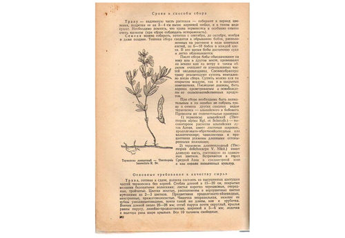 苏联药用植物资源 Землинский (英文电子书)