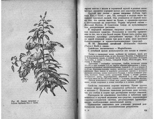 药用植物在民间医学中的应用 佚名 (英文电子书)