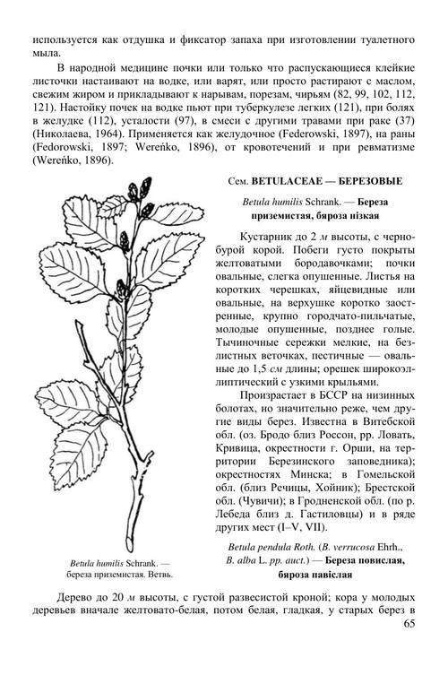 药用野生植物 甘玛尔曼 (英文电子书)