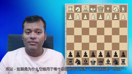 [中字] 国际象棋黑方边线与侧翼开局实战教程 —— 苏尔雅・