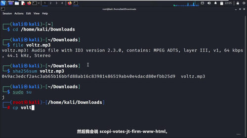 Linux入门:从零开始走进开源世界 (英文课程中文字幕)