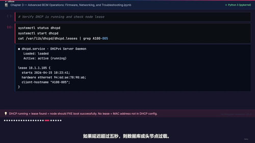 NVIDIA AI运维专家认证备考精讲 (英文课程中文字幕)
