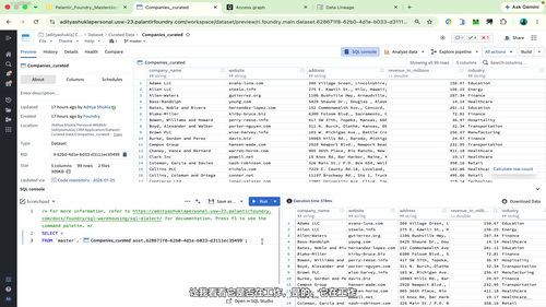 Palantir Foundry实战入门:从基础到真实项目架构 (英文课程中文字幕)