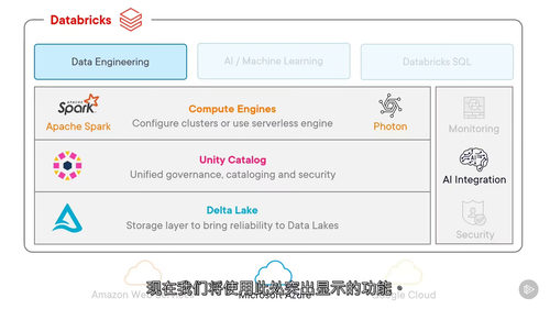 [中字] 数据准备与探索：Databricks 实战指南（中