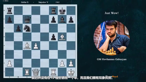 [中文配音]一百个进攻名局：读懂国际象棋中最锋利的武器