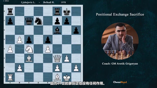 [中文配音]百局经典棋谱：跨越两百年的国际象棋战略课