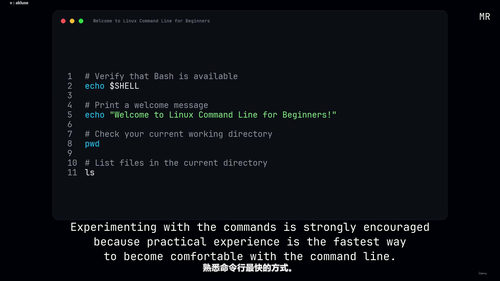 Linux命令行入门到Bash脚本实战 (英文课程中文字幕)