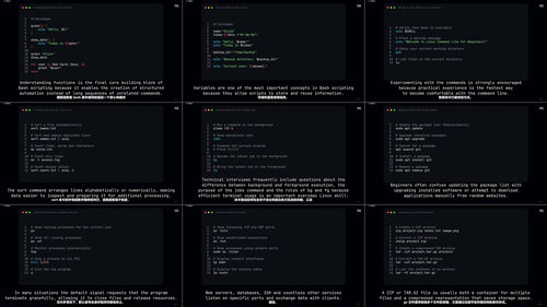 Linux命令行入门到Bash脚本实战 (英文课程中文字幕)