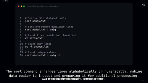 Linux命令行入门到Bash脚本实战 (英文课程中文字幕)